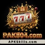 Pak804 Game