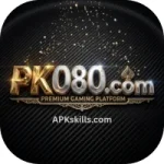 PK080 Game image-logo